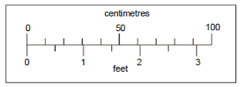 Scale with measurements in centimetres and feet