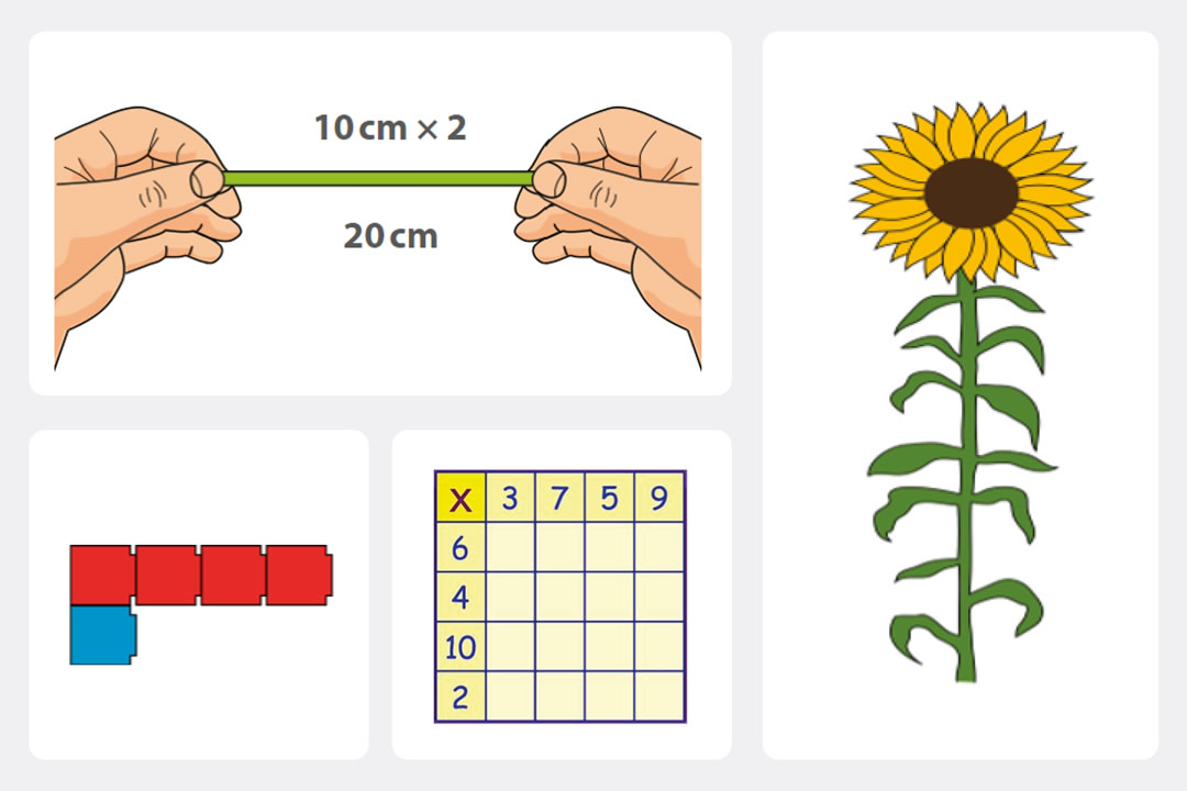 Primary ITE professional development materials