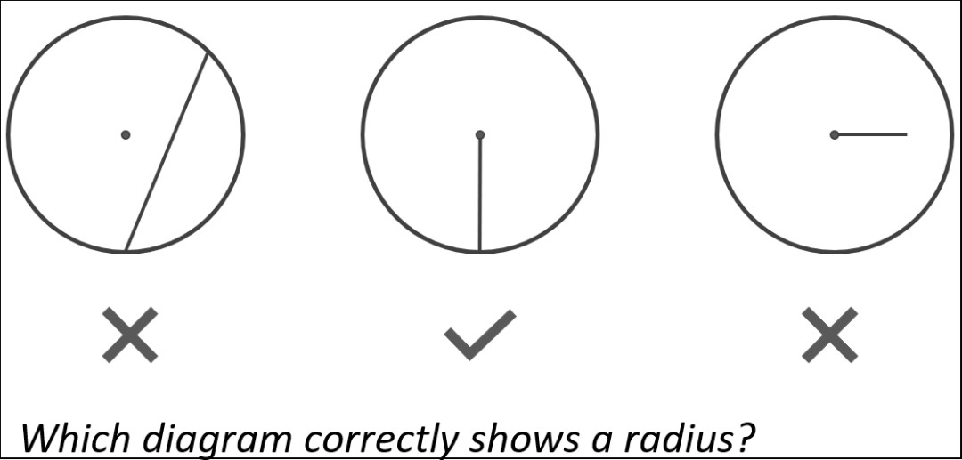 Three Circles Showing Radius With Question Which Diagram Shows A Radius