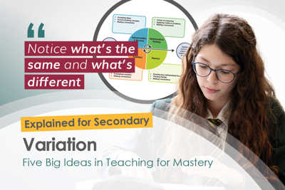 The Five Big Ideas at Secondary – Variation