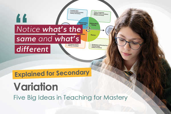 The Five Big Ideas at Secondary – Variation