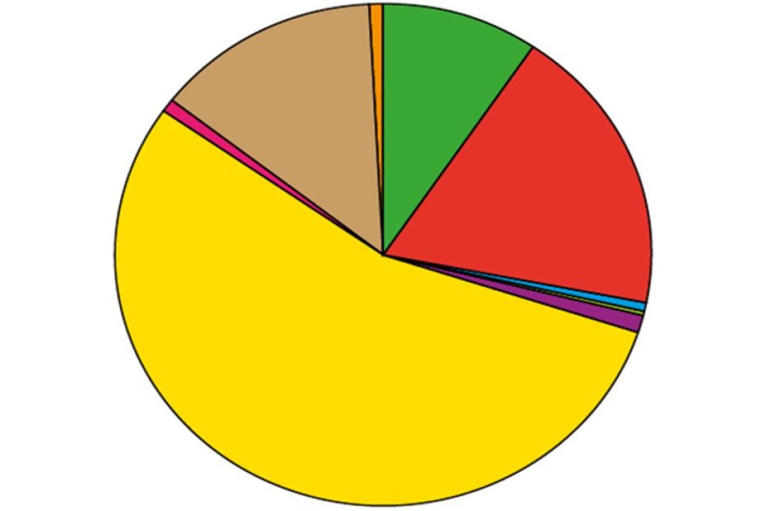 6 Pie Chart